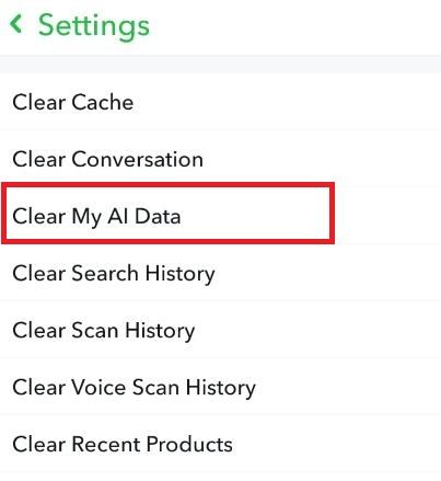 snapchat AI problem clear cache.JPG